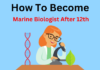how to become marine biologist after 12th