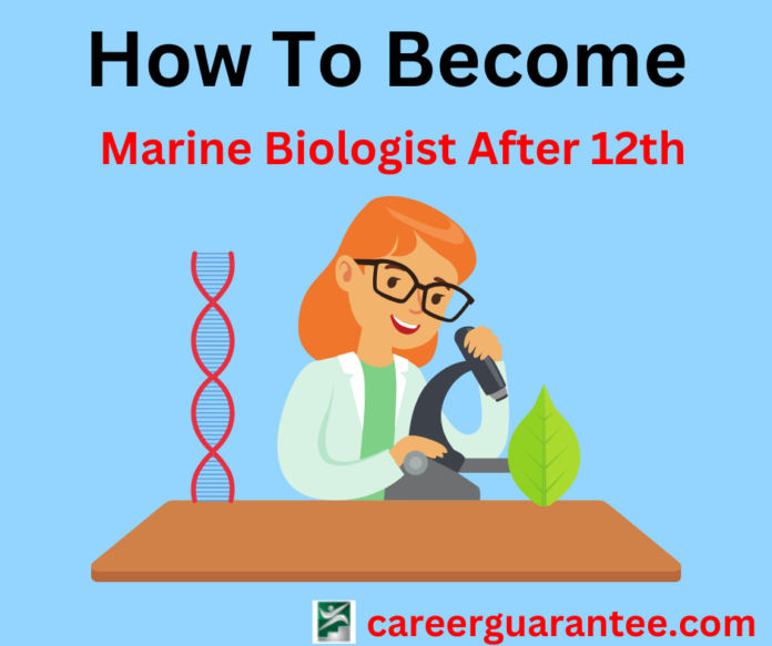 how to become marine biologist after 12th